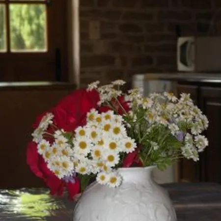 Country house Renove Avec Grand Terrain, Proche D'epinal, Ideal Pour Balades Et Familiales - Fr-1-589-87